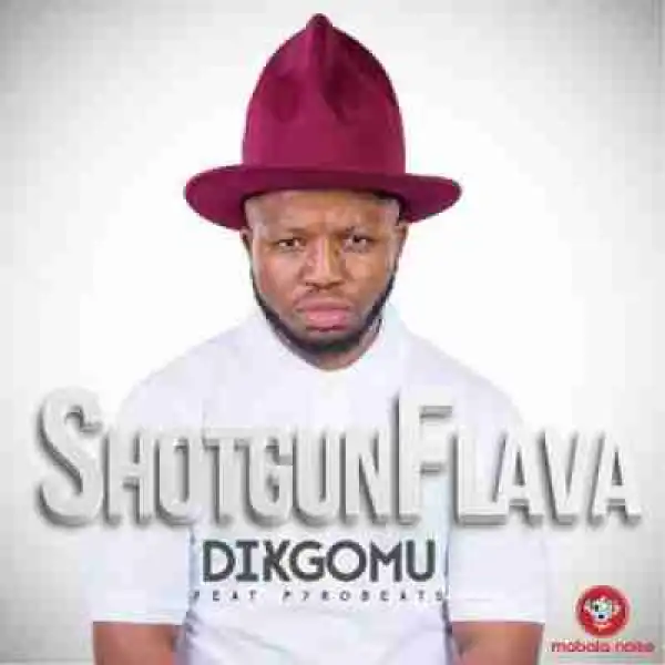 ShotGun Flava - Dikgomu Ft. Pyrobeats